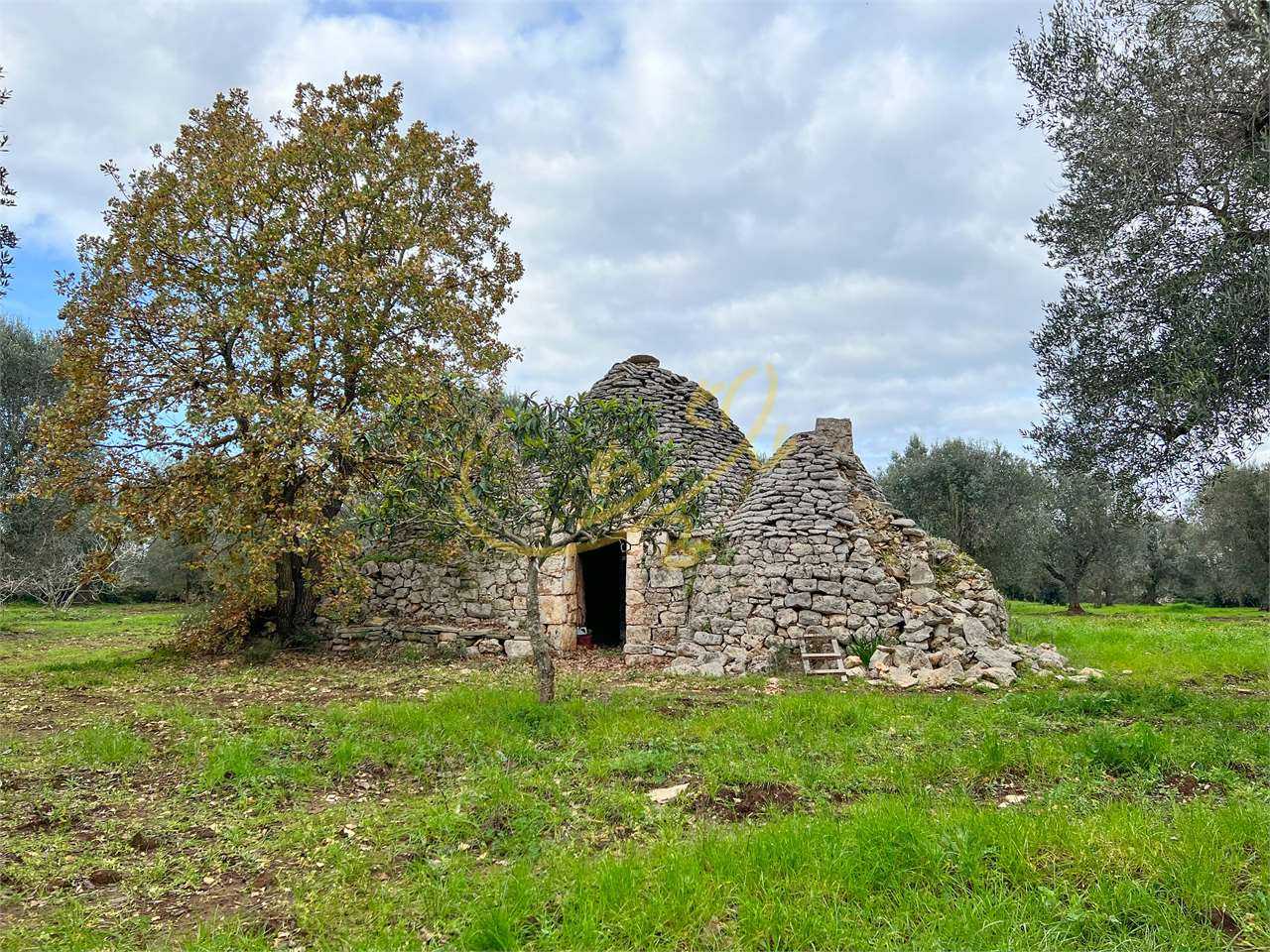 Tanah dalam Ceglie Messapica, Apulia 11393117