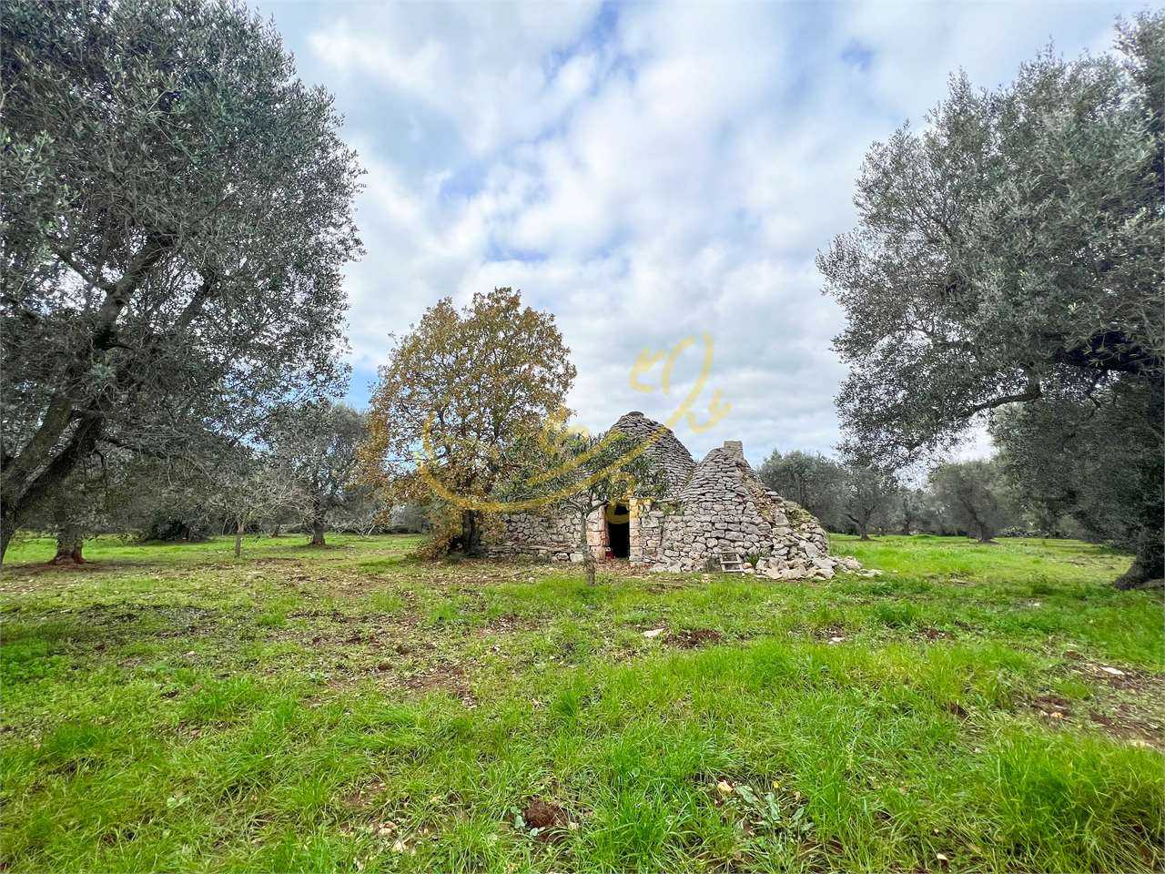 Tanah di Ceglie Messapico, Puglia 11393117