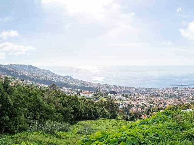 Hus i Funchal, Madeira 11393972