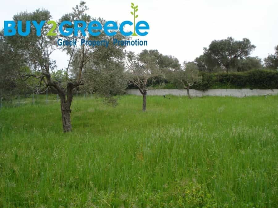 Land in Oxylithos,  11398999