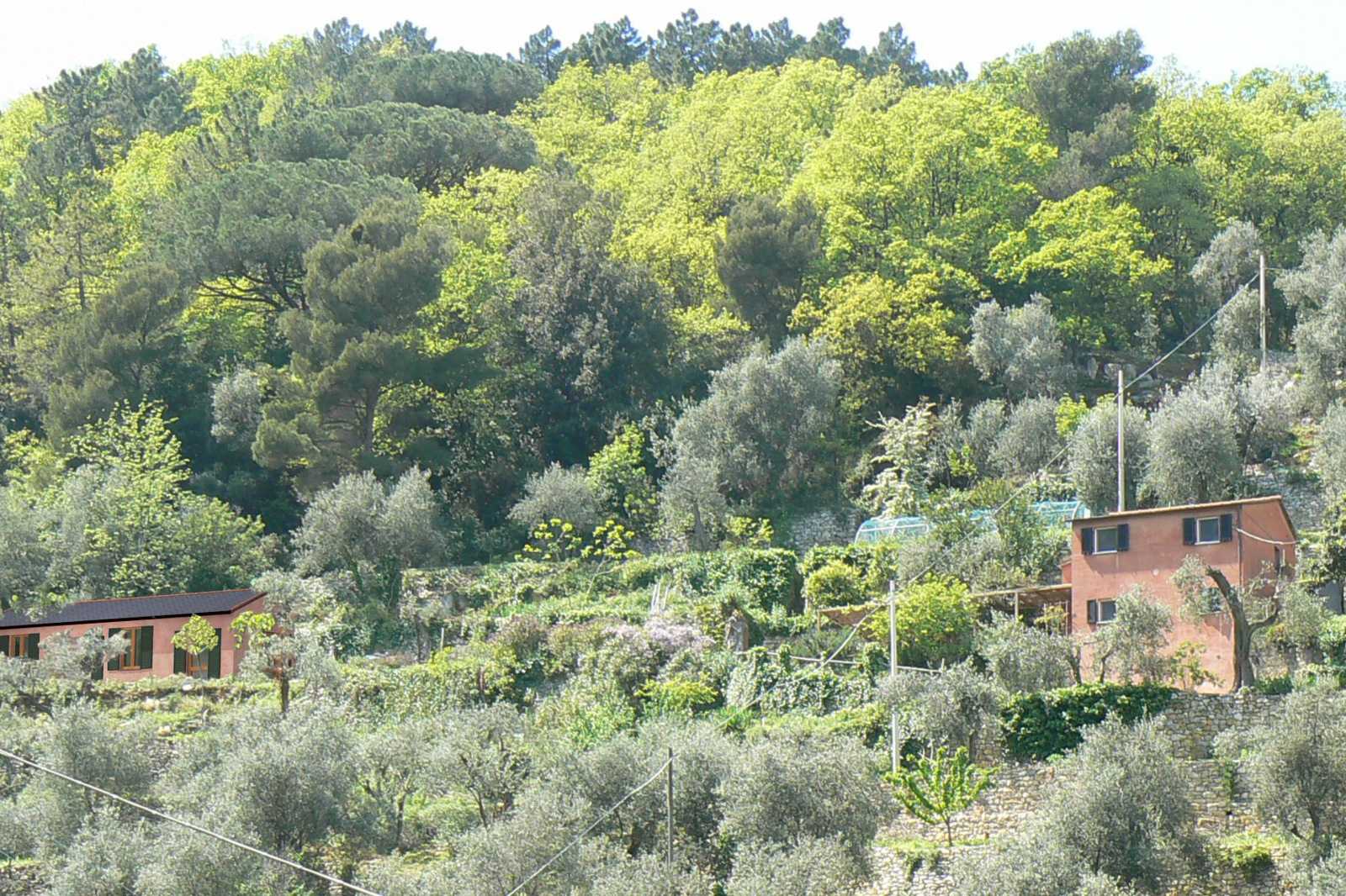 жилой дом в Terrizzo, Liguria 11405419