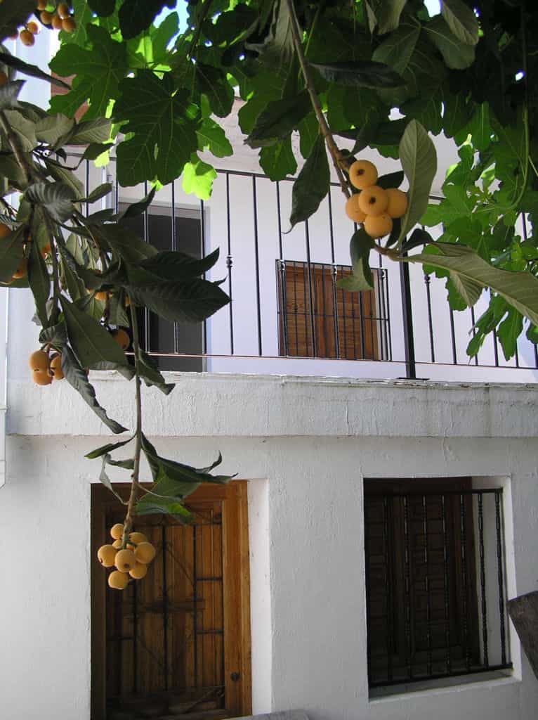 σπίτι σε La Font d'en Carròs, Comunidad Valenciana 11410952