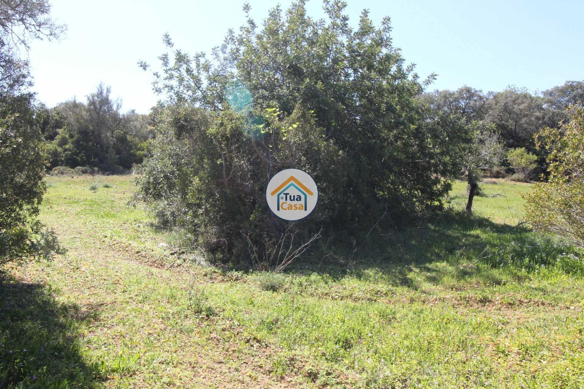 Land in Santa Barbara de Nexe, Faro 11412193