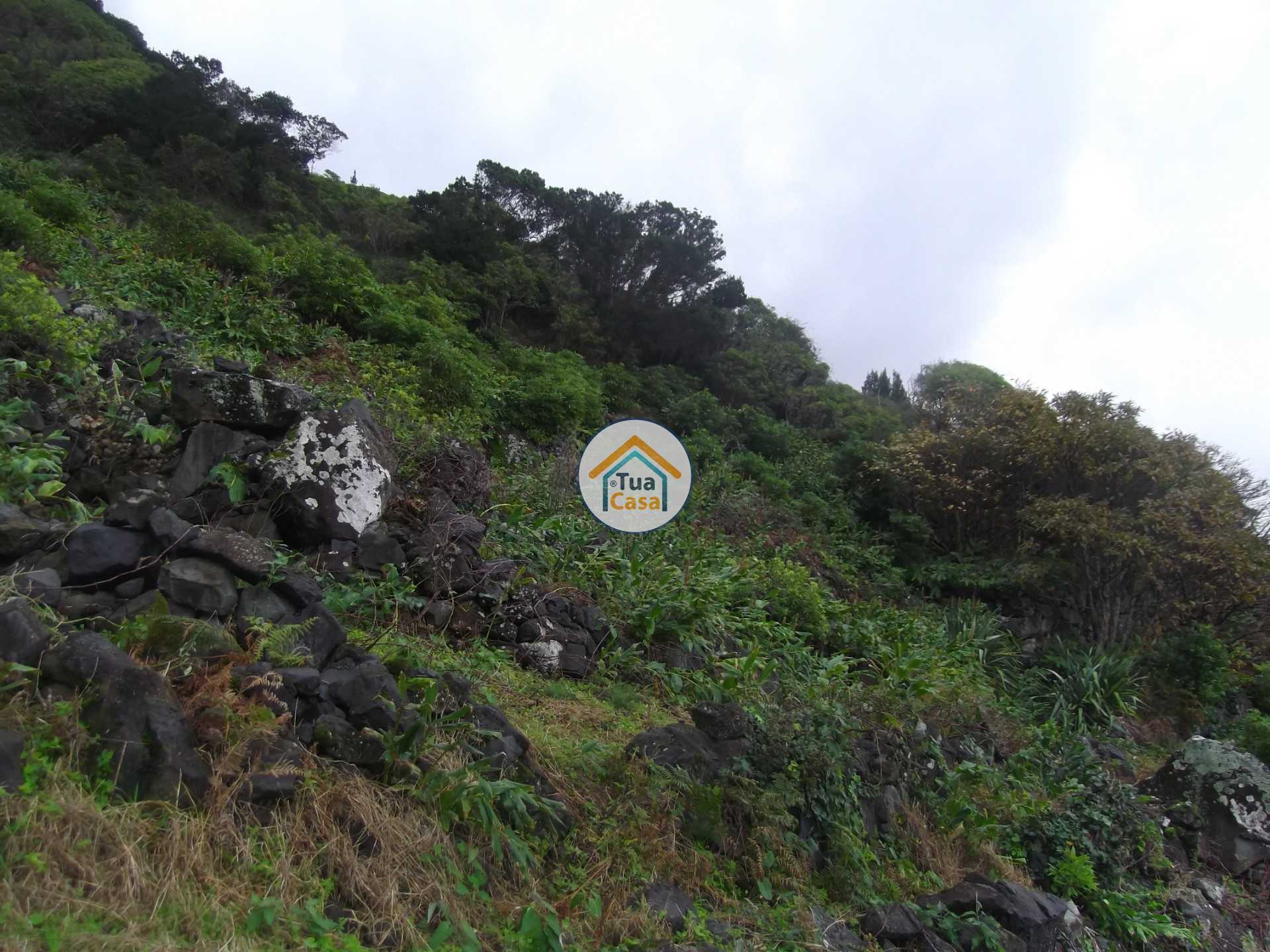 Dom w , Azores 11412253