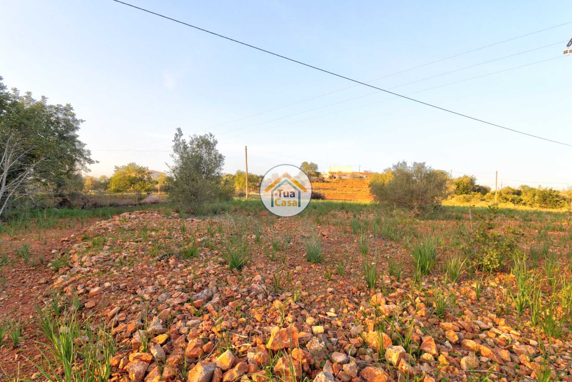 House in Silves, Faro District 11412255