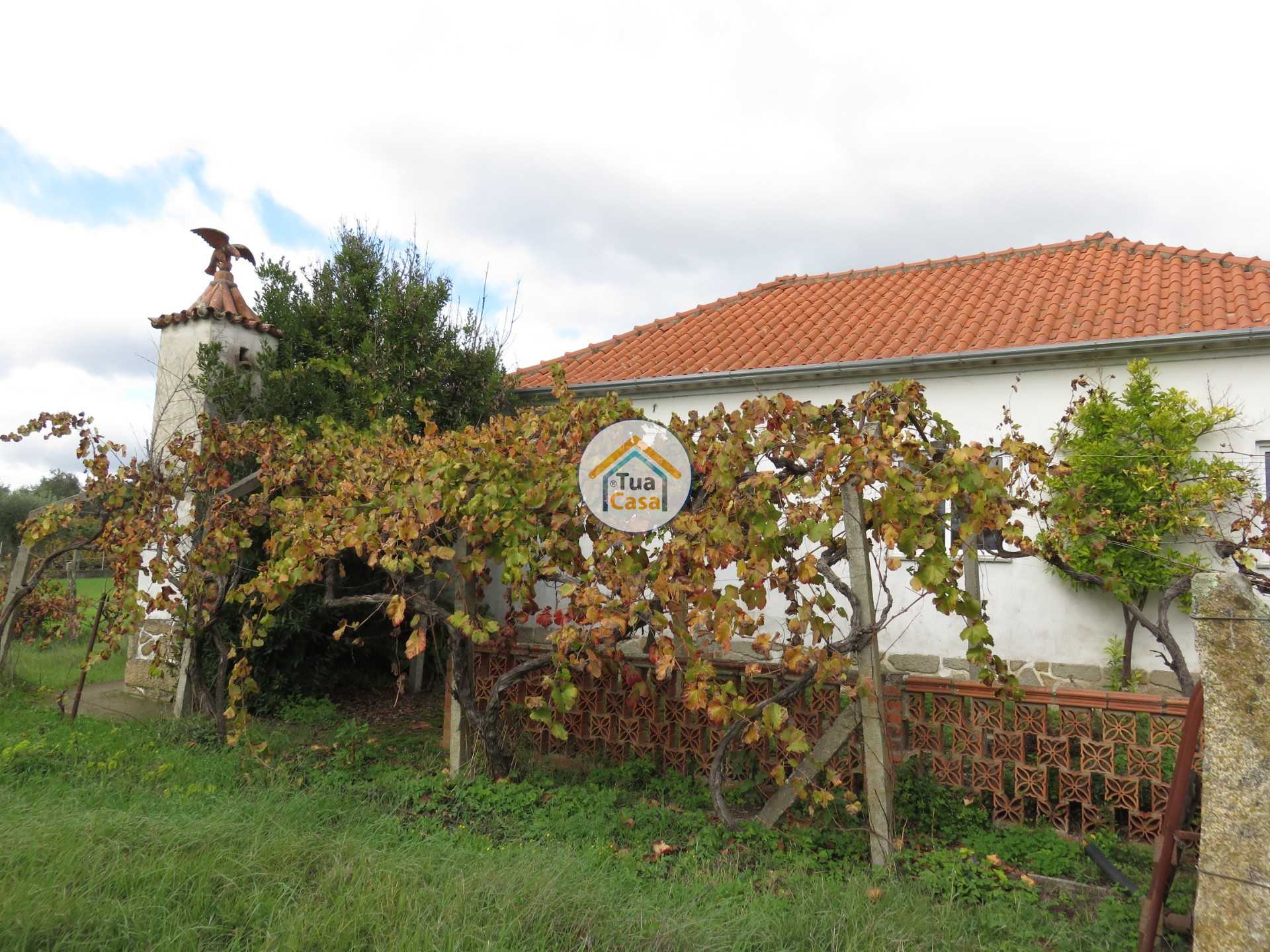 Huis in Alcaria, Castelo Branco 11412356