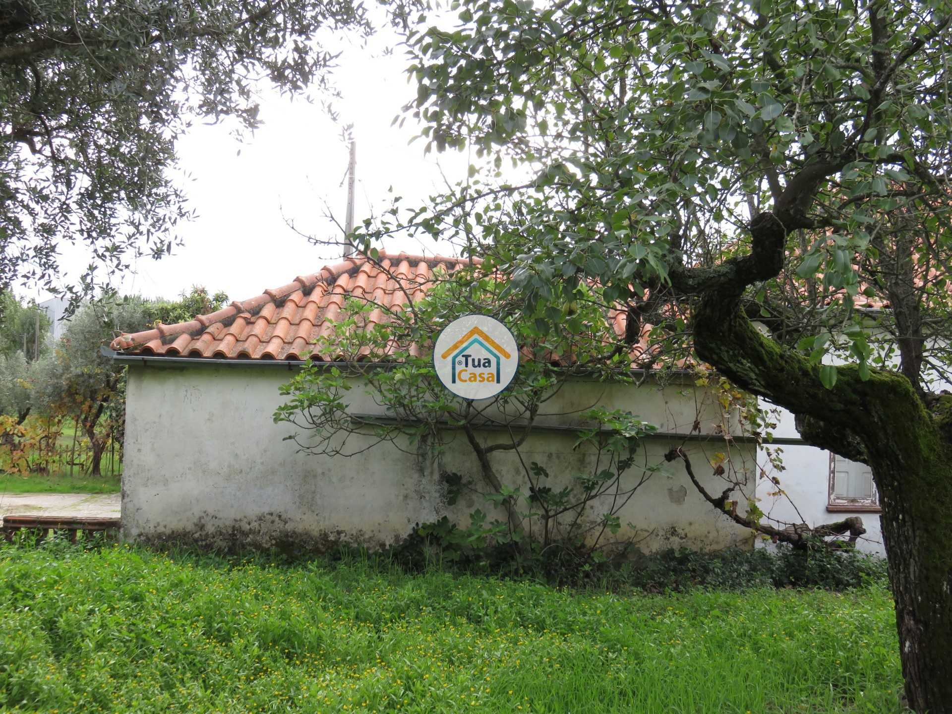 σπίτι σε Αλκαρία, Καστέλο Μπράνκο 11412356