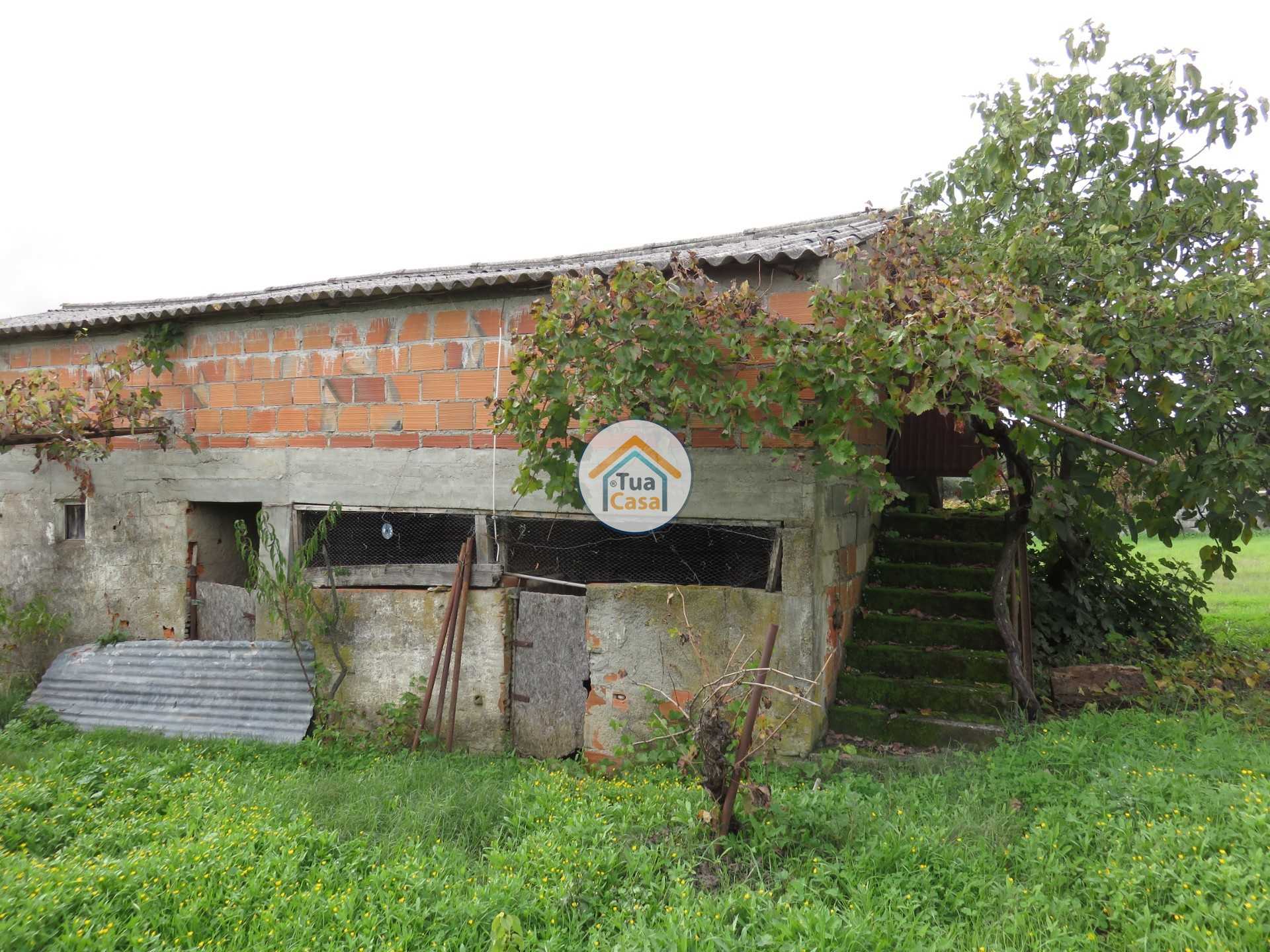 Dom w , Castelo Branco District 11412356