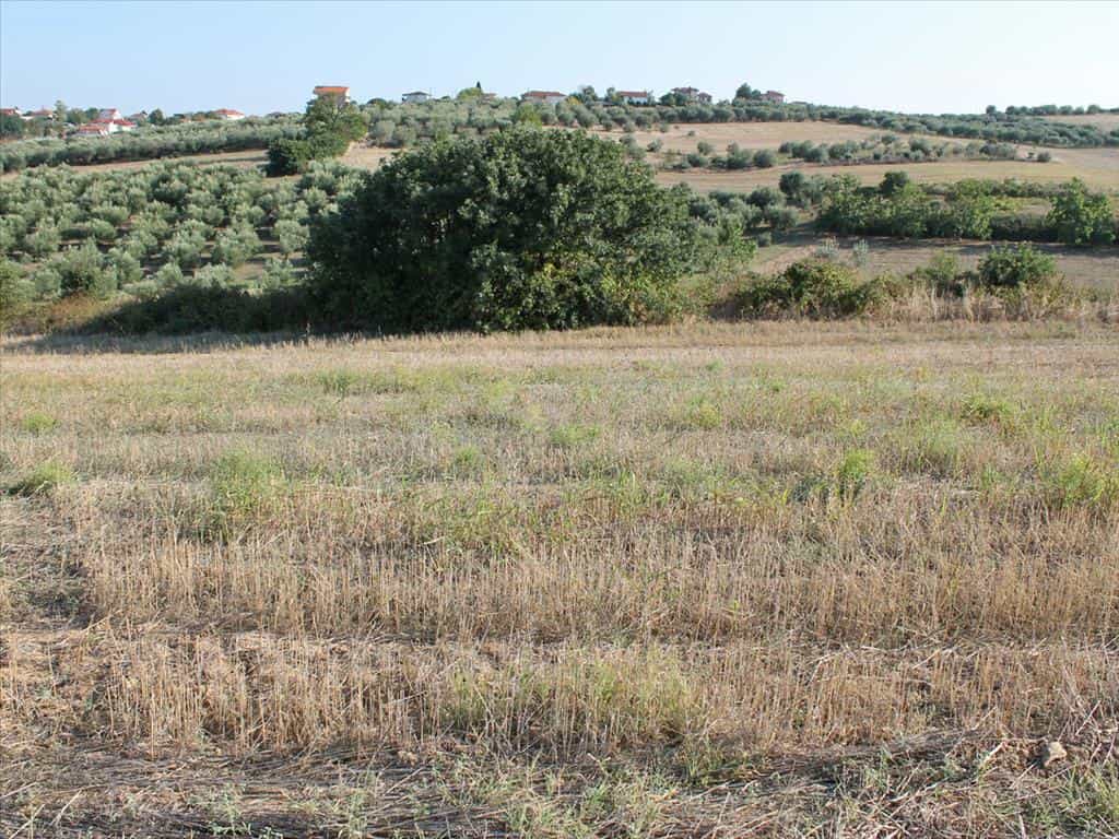 Land in Zagora, Thessalia 11413983