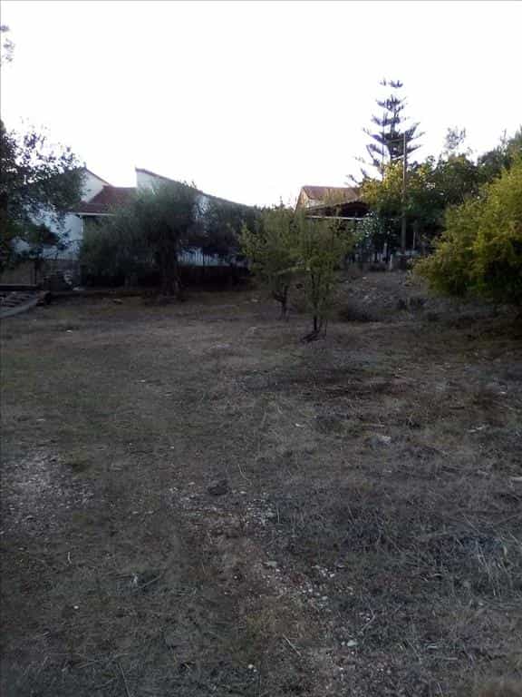 Land in Plataria, Ipeiros 11413995