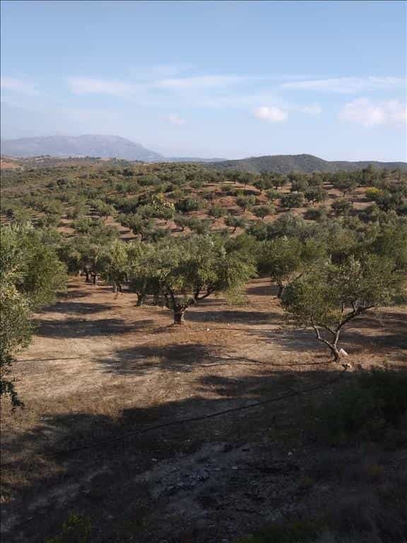 Tanah dalam Amarinthos,  11413999