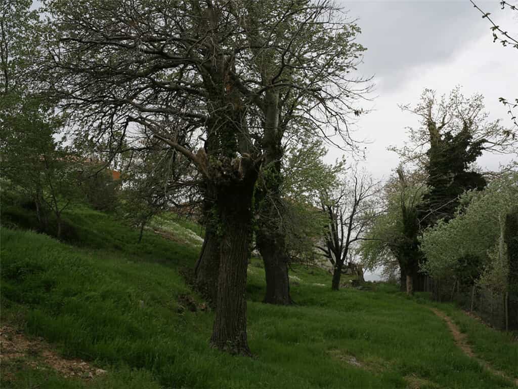 Land in Portaria, Thessalië 11414057