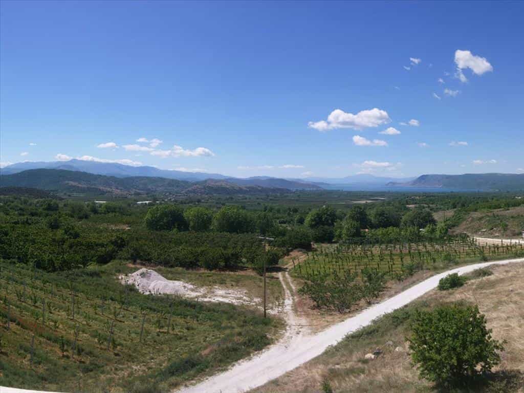 Land in Edessa, Kentriki Makedonia 11414157