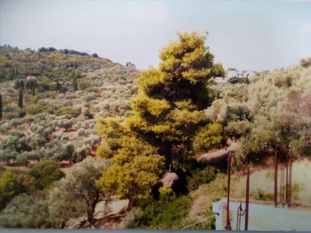 भूमि में Skopelos, Thessalia 11414971