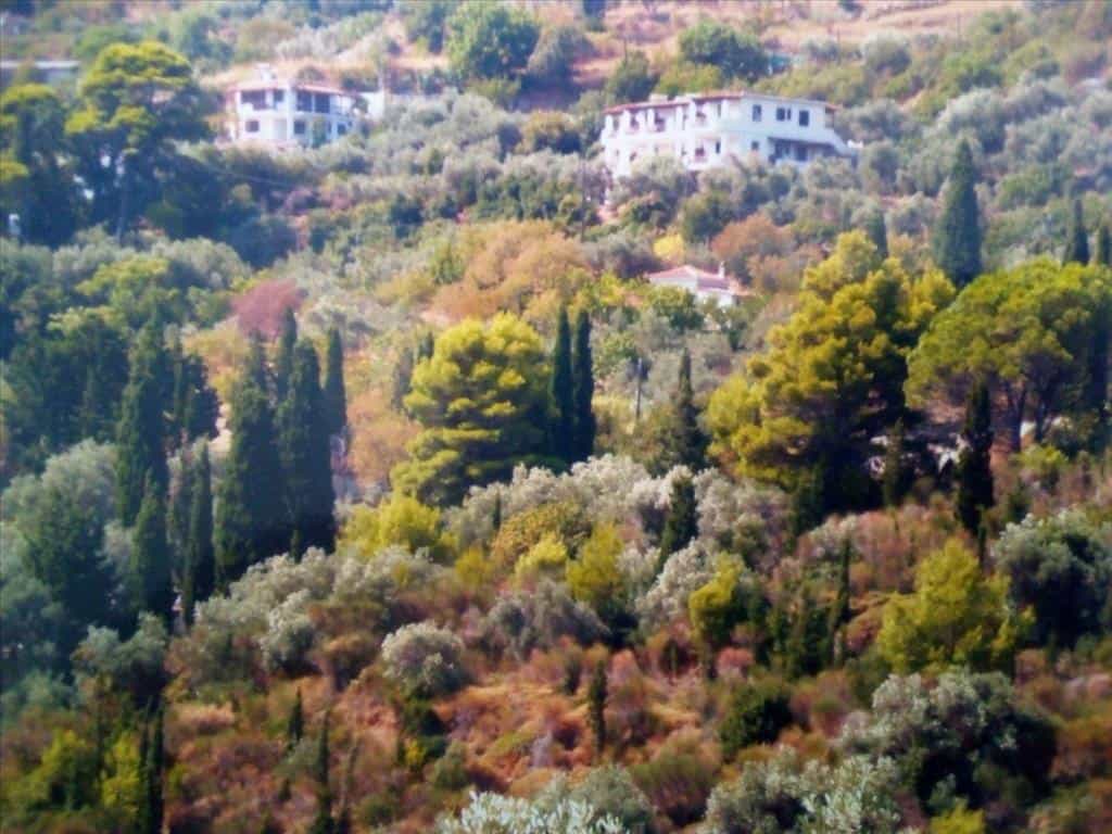 Tanah di Skopelos, Tesalia 11414971
