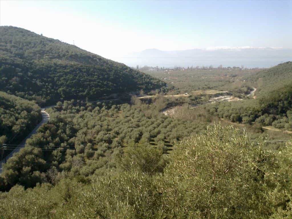 Land in Milies, Thessalia 11414976
