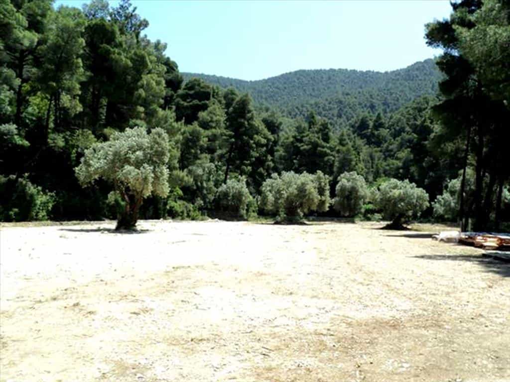 Land in Skopelos, Thessalië 11415079