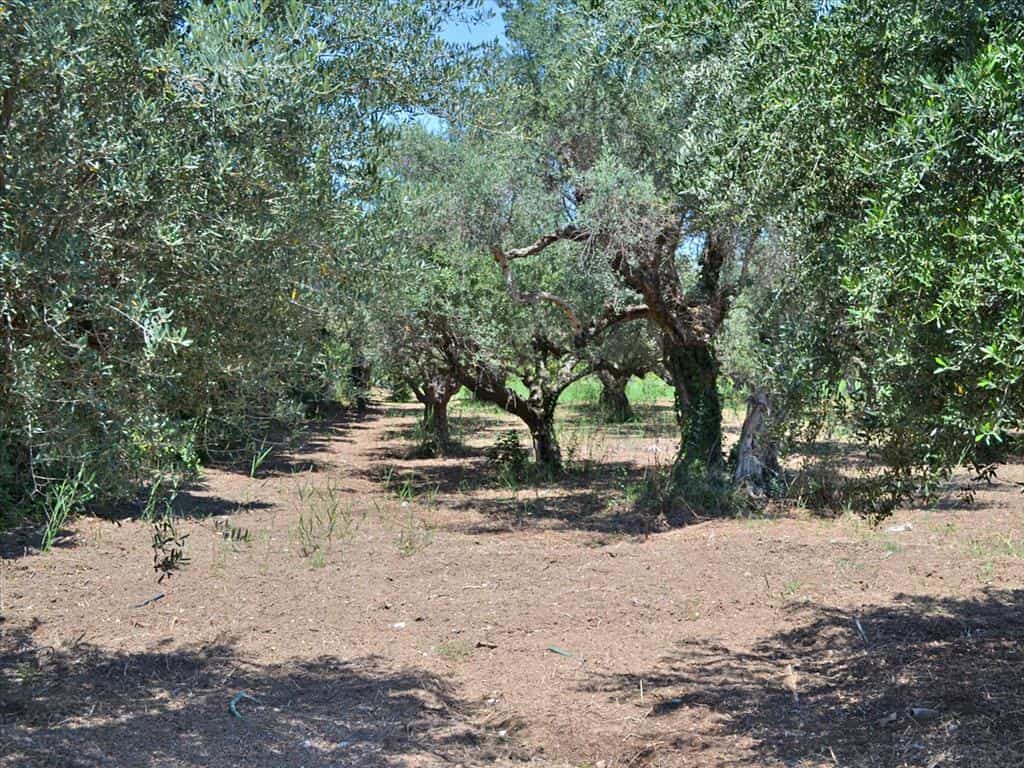 Land in Agios Vasileios, Dytiki Ellada 11415131