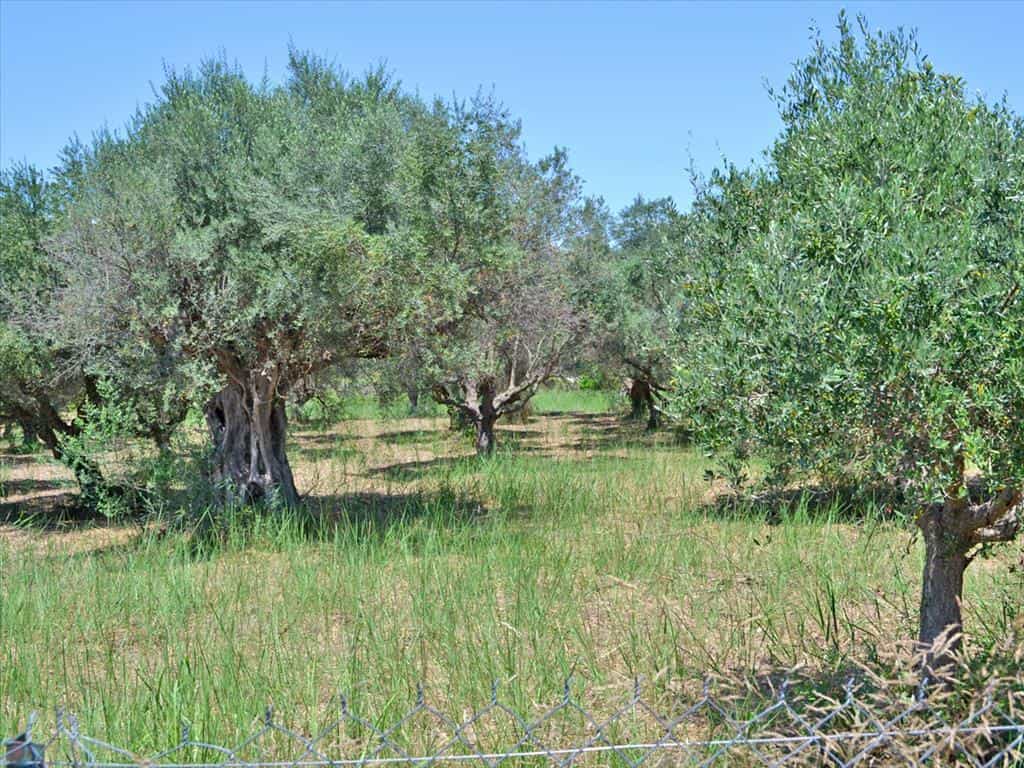 Tanah dalam Agios Vasilios,  11415131
