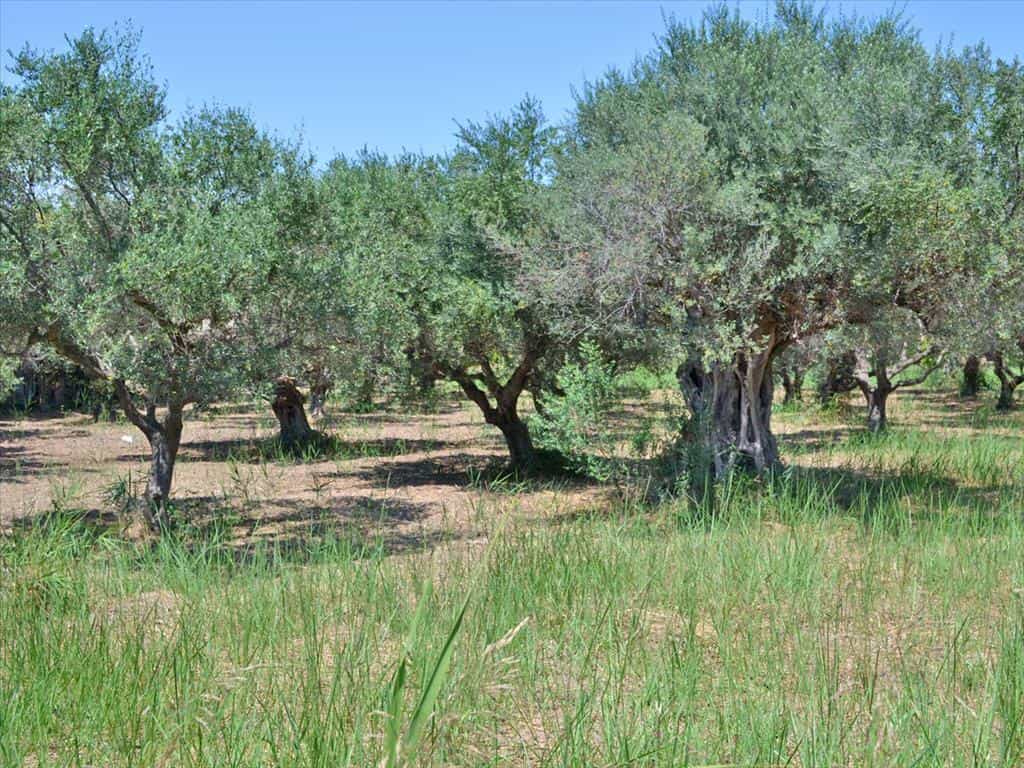 Land in Agios Vasileios, Dytiki Ellada 11415131