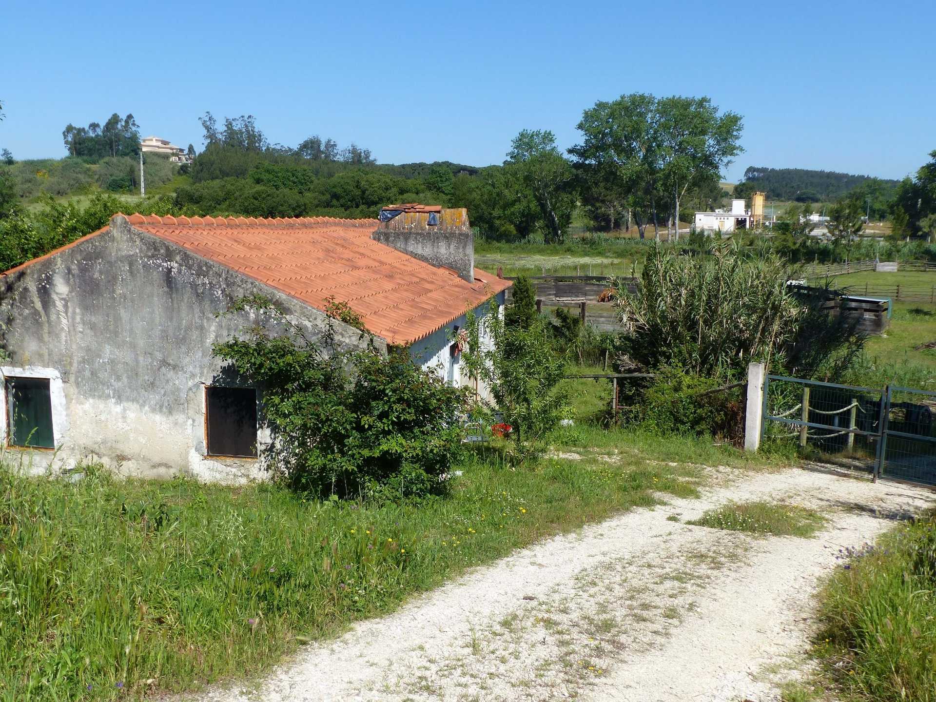 жилой дом в Caldas da Rainha, Leiria District 11489380