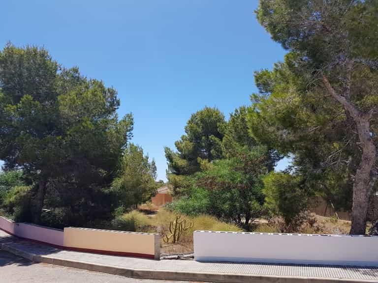 Land in Algorfa, Valencian Community 11490988