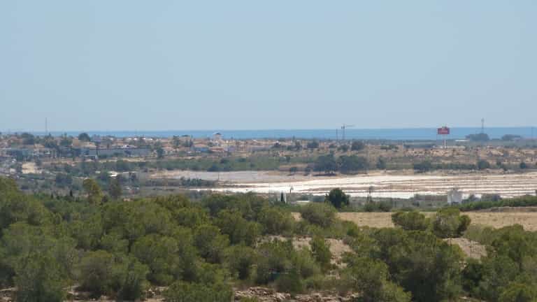 Terre dans Algorfa, Valencian Community 11490988