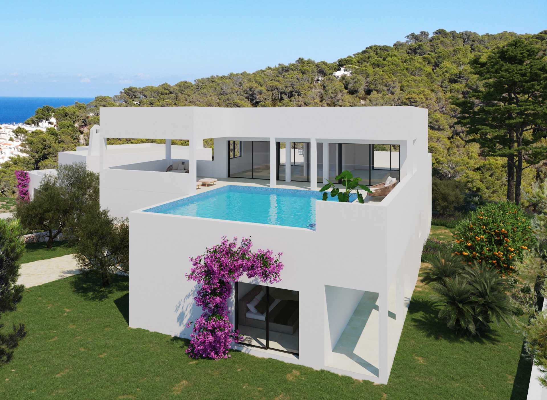 House in San Carlos, Balearic Islands 11491097