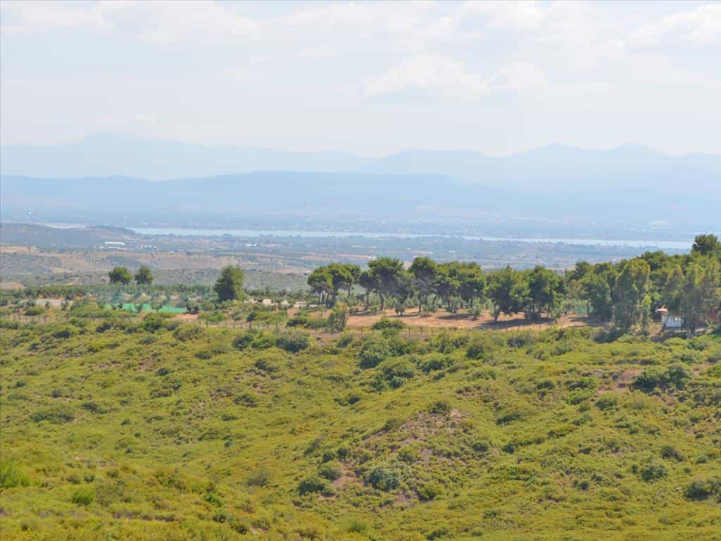 Land in Chalcis,  11493605