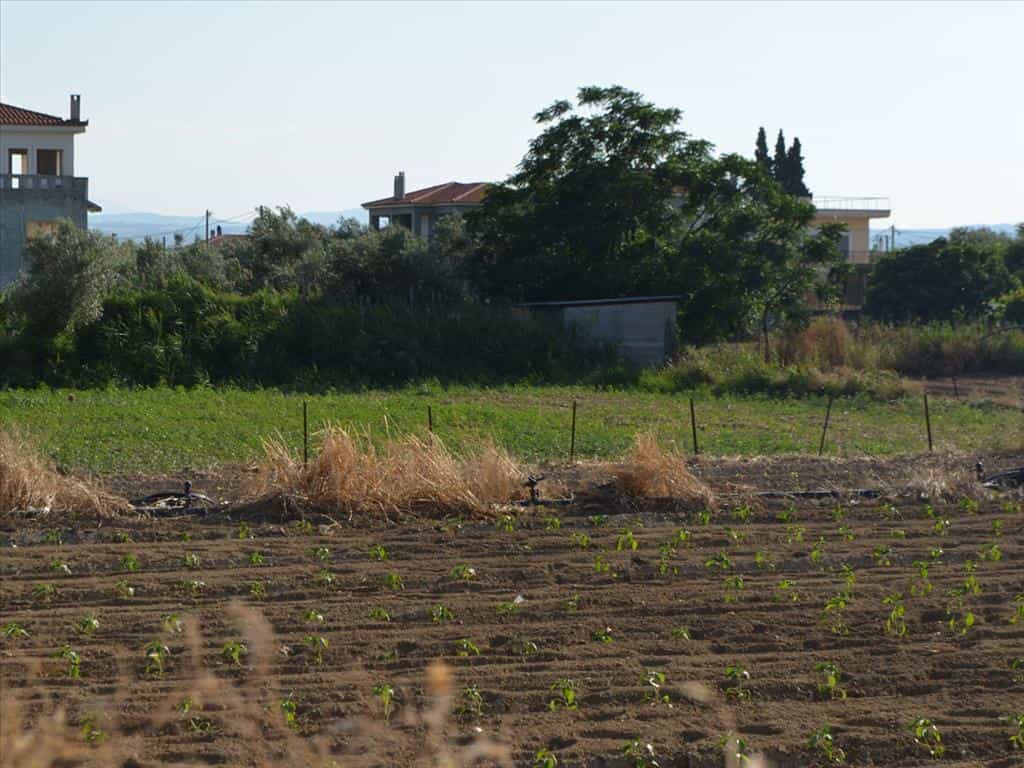 Land in Chalcis,  11493685