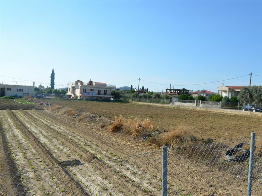 Land in Chalcis,  11493685