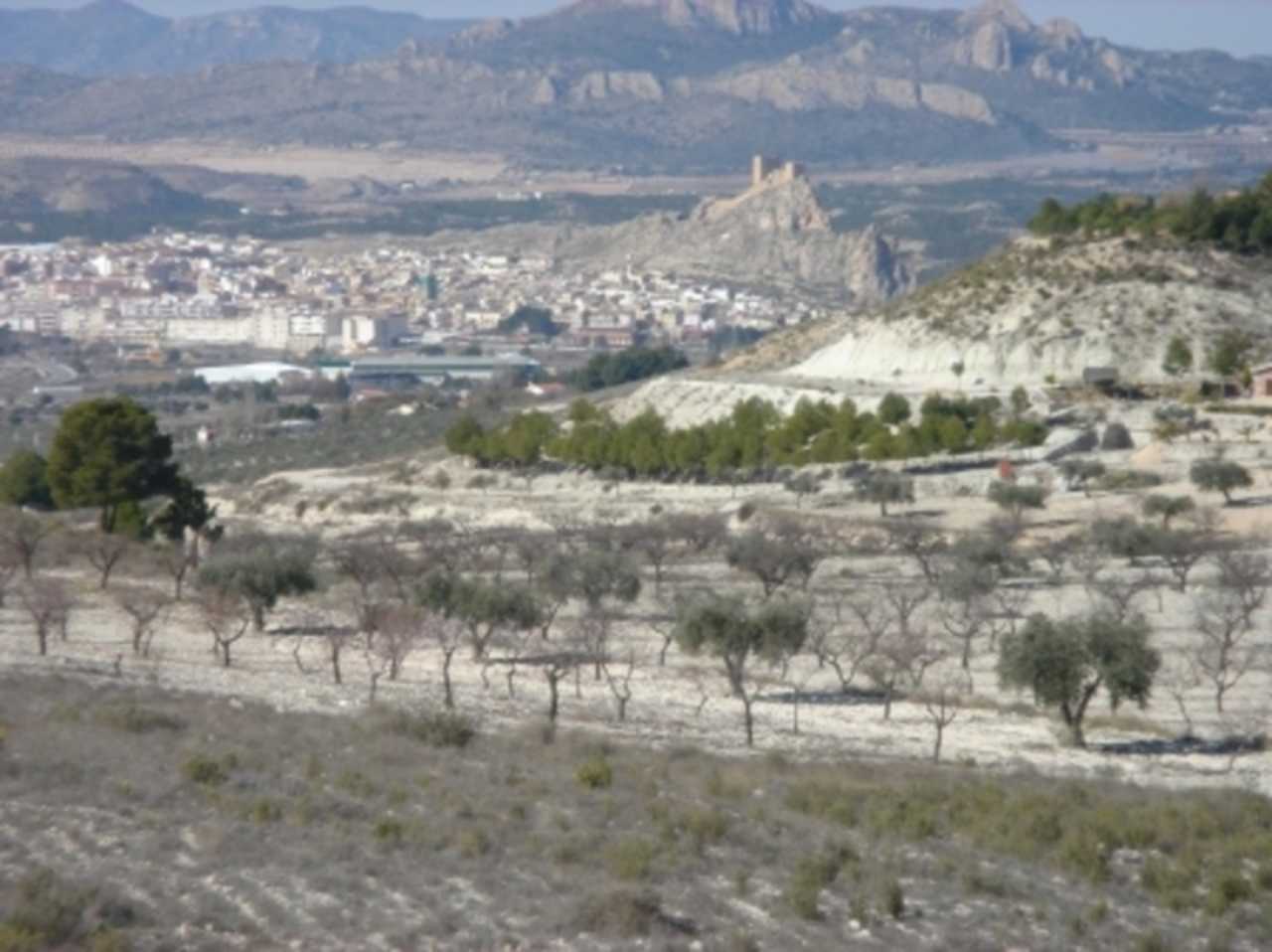 Tanah dalam Saix, Comunidad Valenciana 11497208