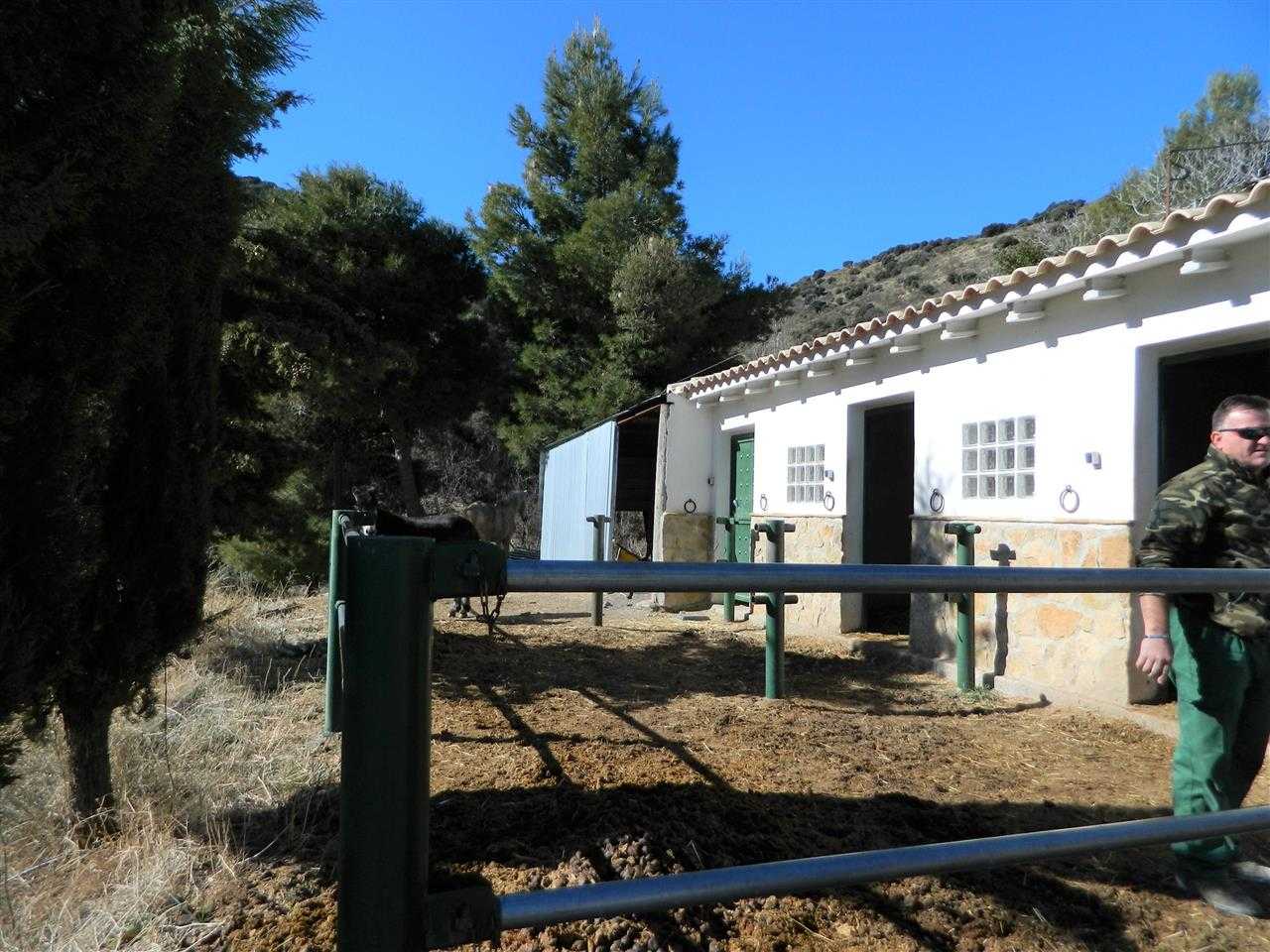 房子 在 Sorbas, Andalucía 11500091
