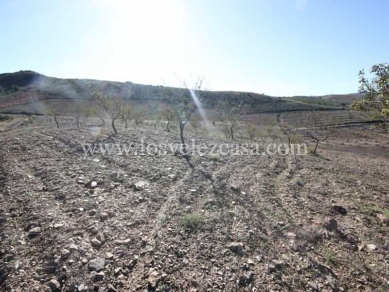 Tanah dalam Velez Rubio, Andalusia 11500468