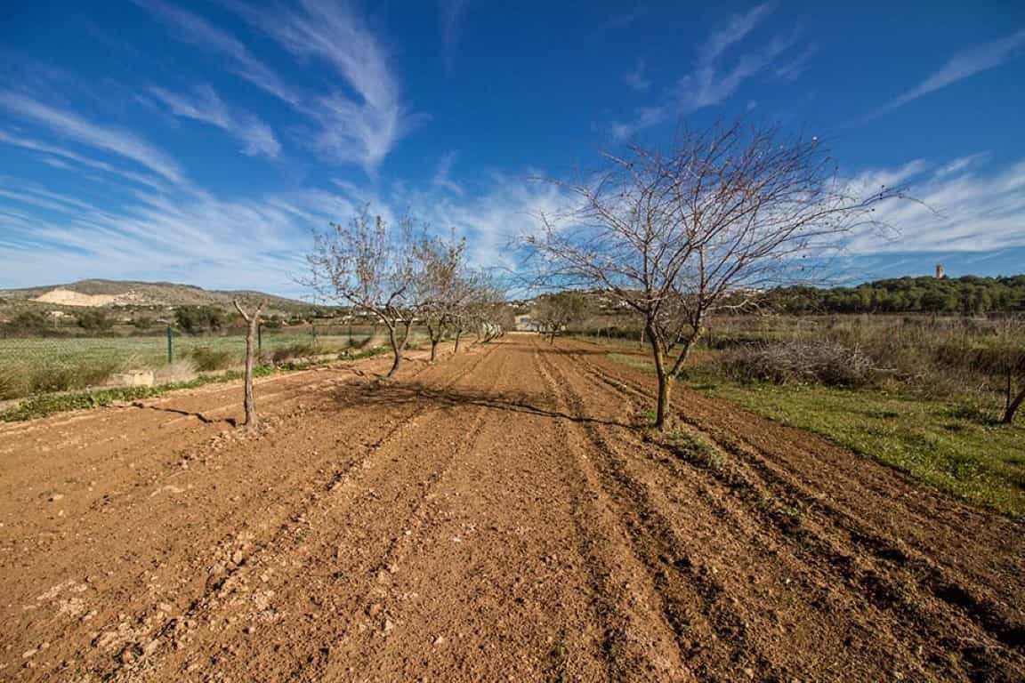 Tanah dalam Teulada, Comunidad Valenciana 11501456