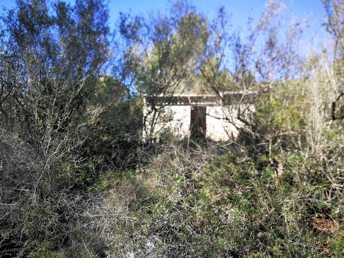 Hus i Santa Eugenia, Balearene 11502173