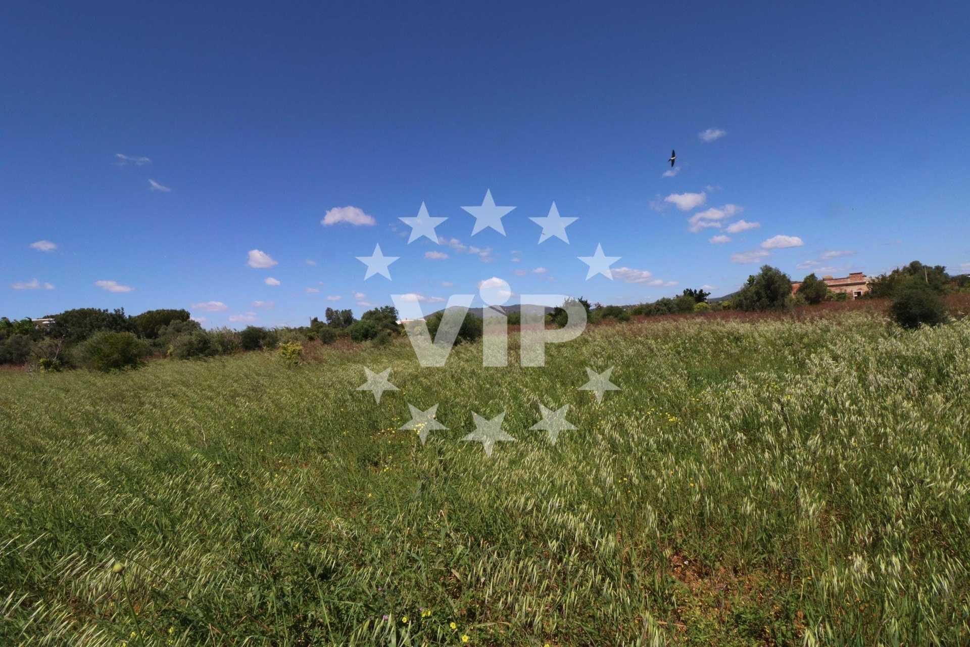 Land in , Faro District 11503557