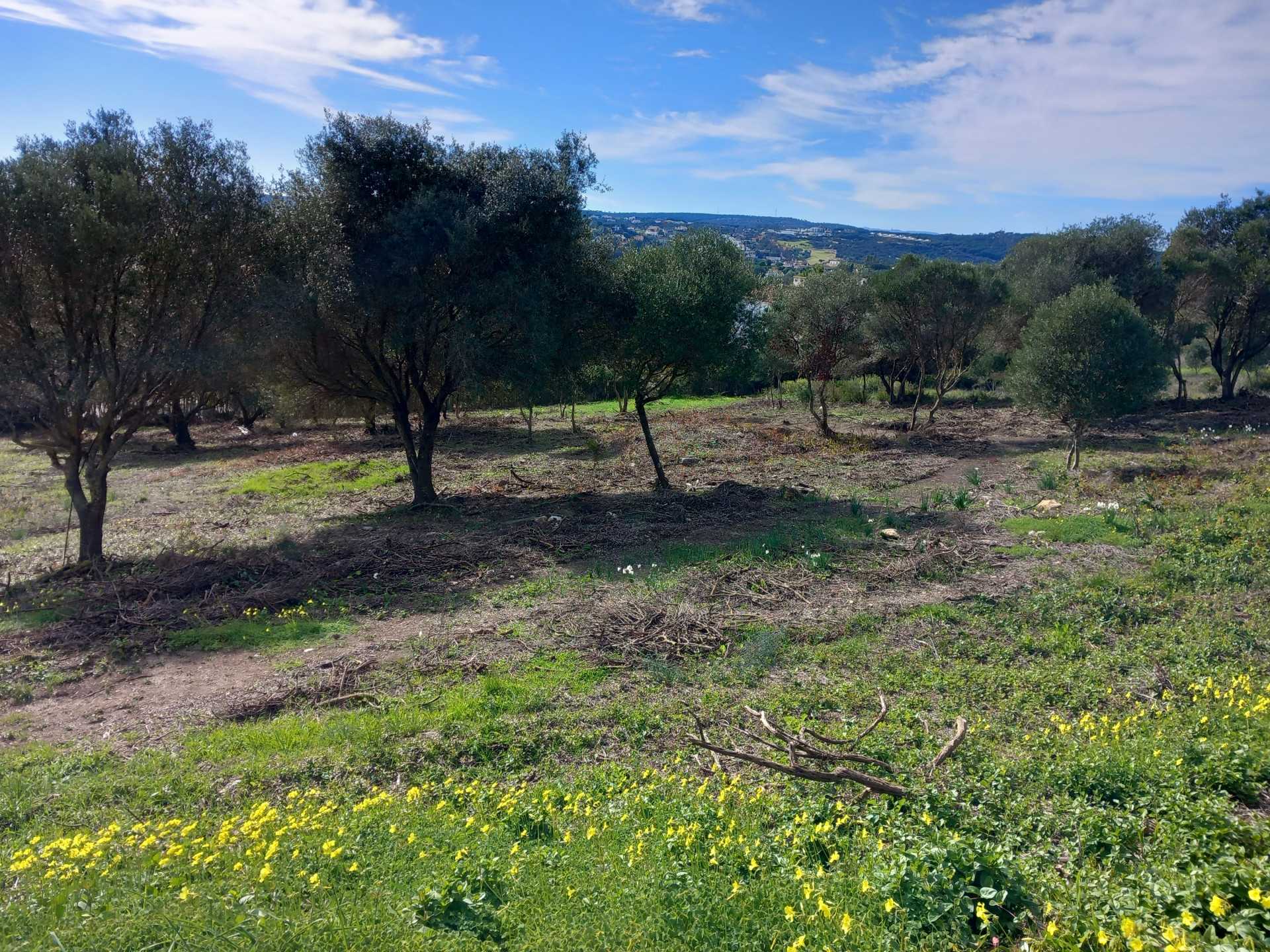 Tanah dalam Sotogrande, Andalucía 11503854