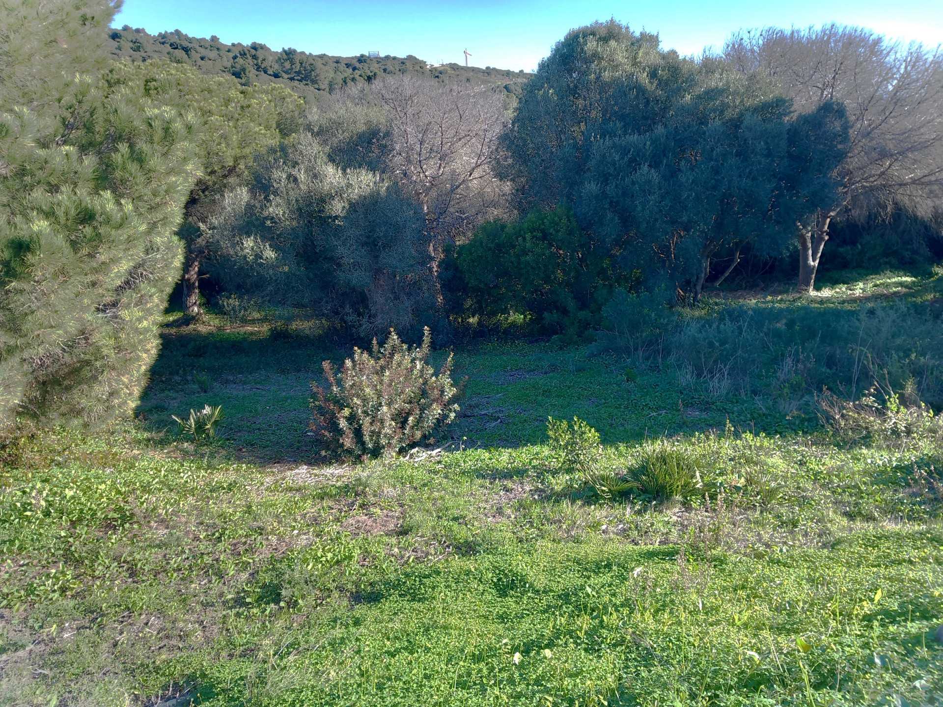 Tanah dalam Sotogrande, Andalucía 11503854