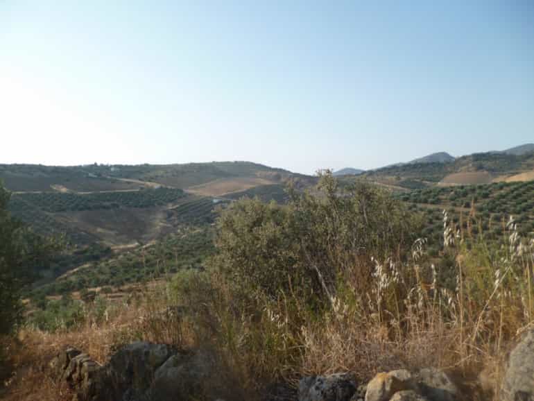 Land in Olvera, Andalusia 11508617