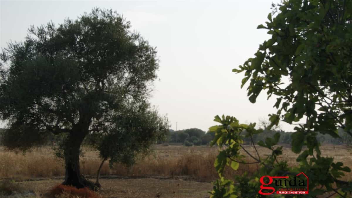 Land in Matino, Puglia 11508713