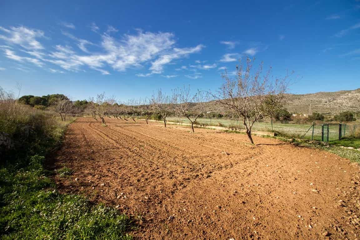 Tanah dalam Teulada, Valencia 11509089