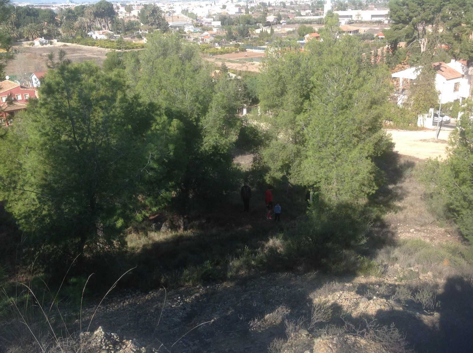 Tanah dalam Era-Alta, Murcia 11509721