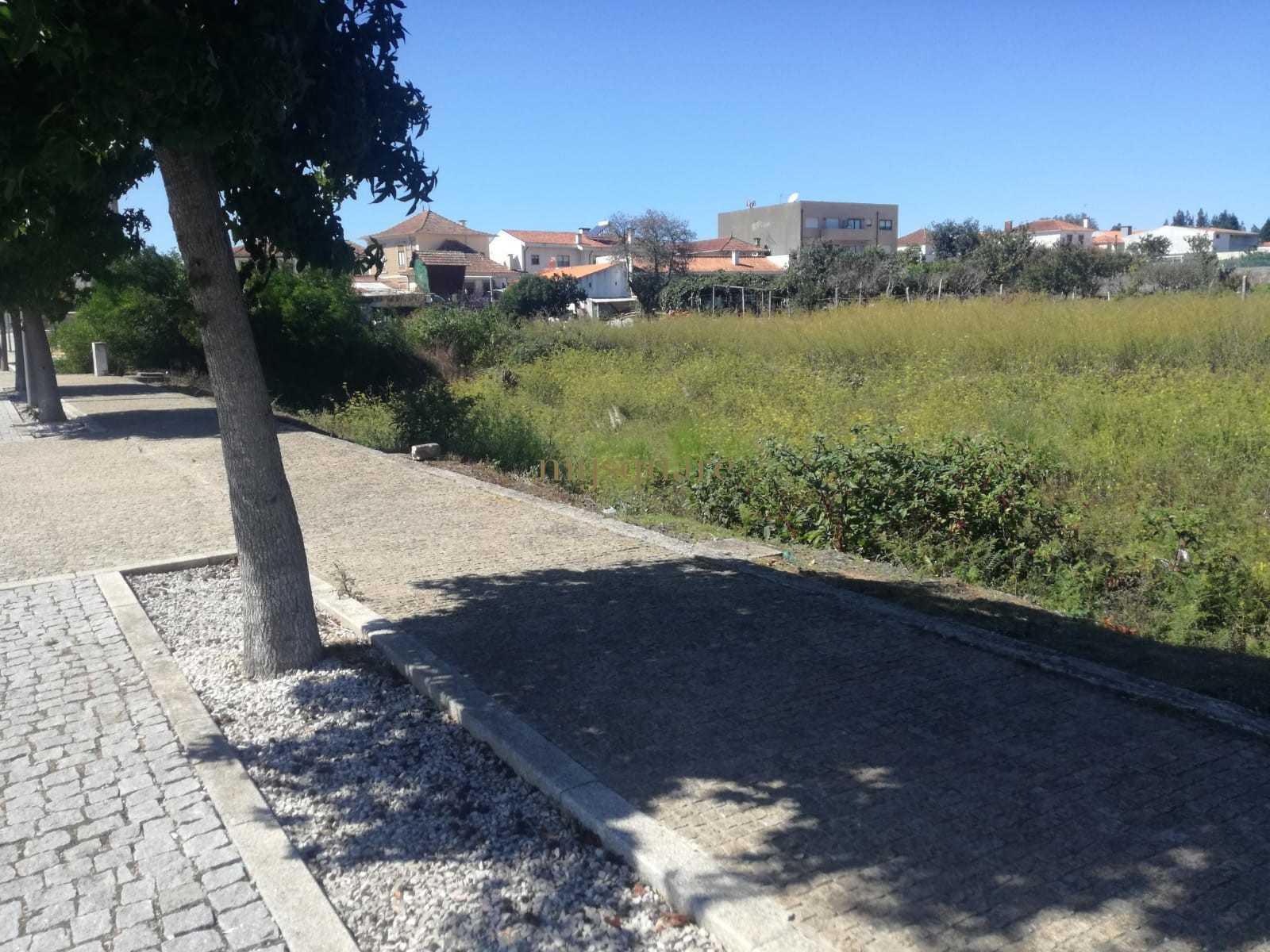 Land i Brandariz, Porto 11510124