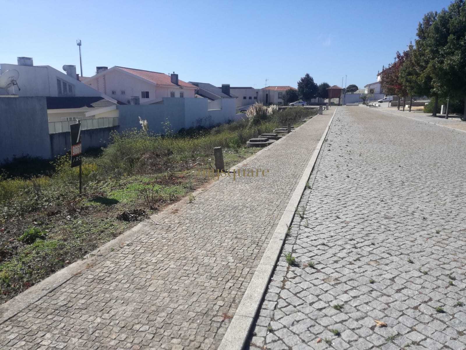 Terre dans Brandariz, Porto 11510124