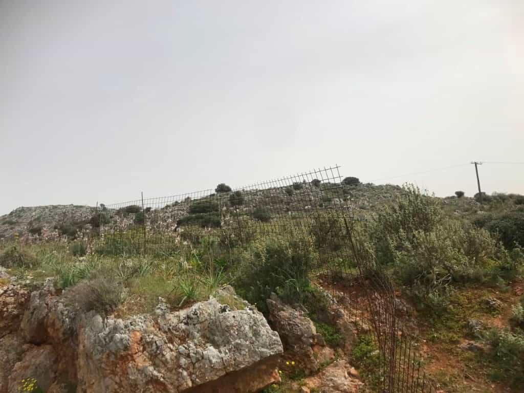 Земля в Пеза, Криті 11511036