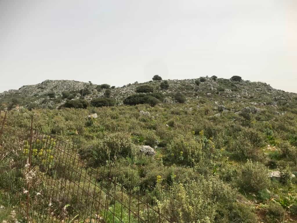 Земля в Пеза, Криті 11511036