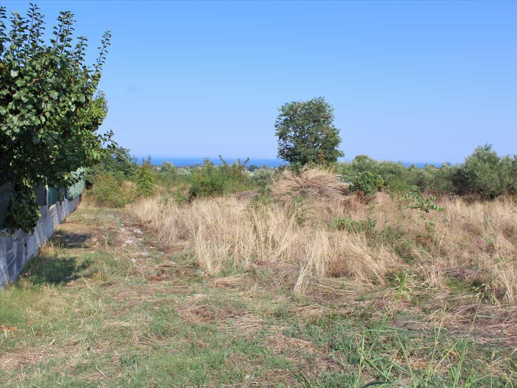 Tanah dalam Leptokarya, Kentriki Makedonia 11511272