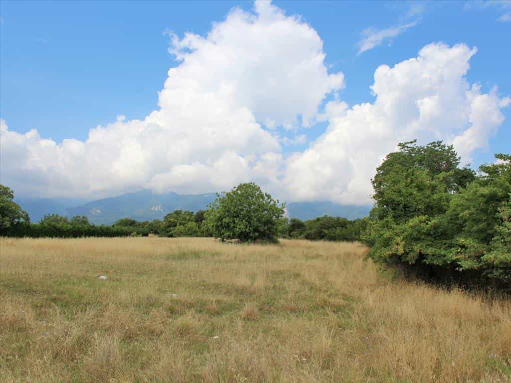 Terre dans Leptokarya, Kentriki Macédoine 11511289
