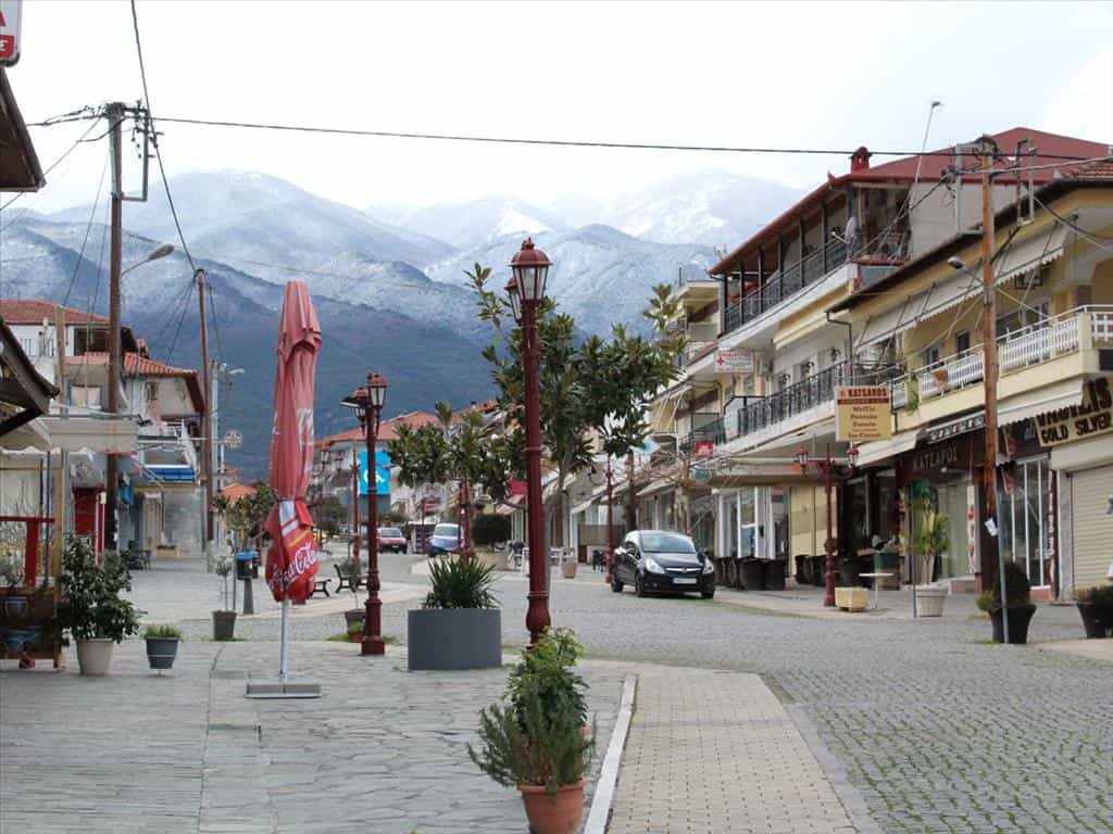Λιανεμποριο σε Λεπτοκαρυά, Κεντρική Μακεδονία 11511384